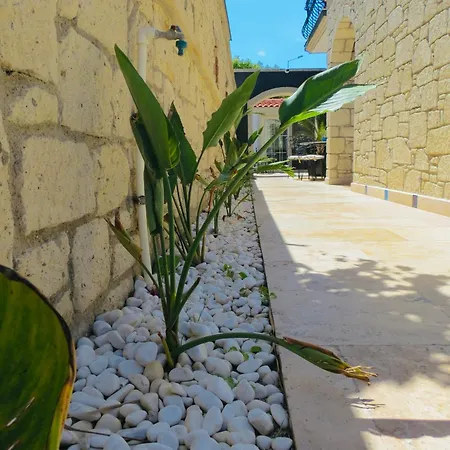 Oda ve Kahvaltı Fedora