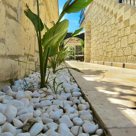 Fedora Nocleg ze śniadaniem 3*